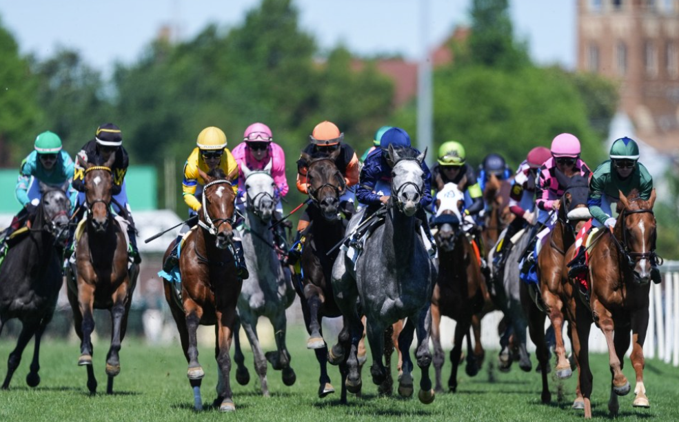 selection turf || selection turf gagnant || selectionturf